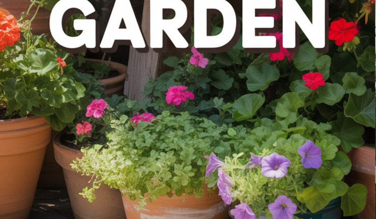 Potted Garden