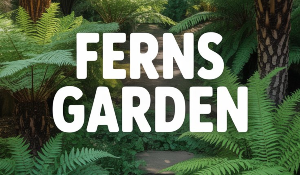 Ferns Garden