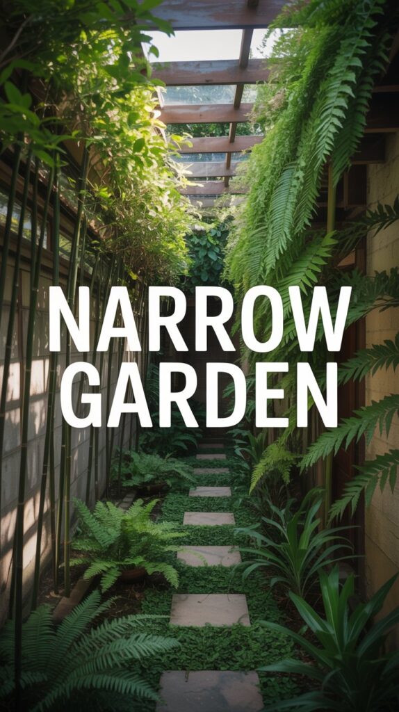 Narrow Garden