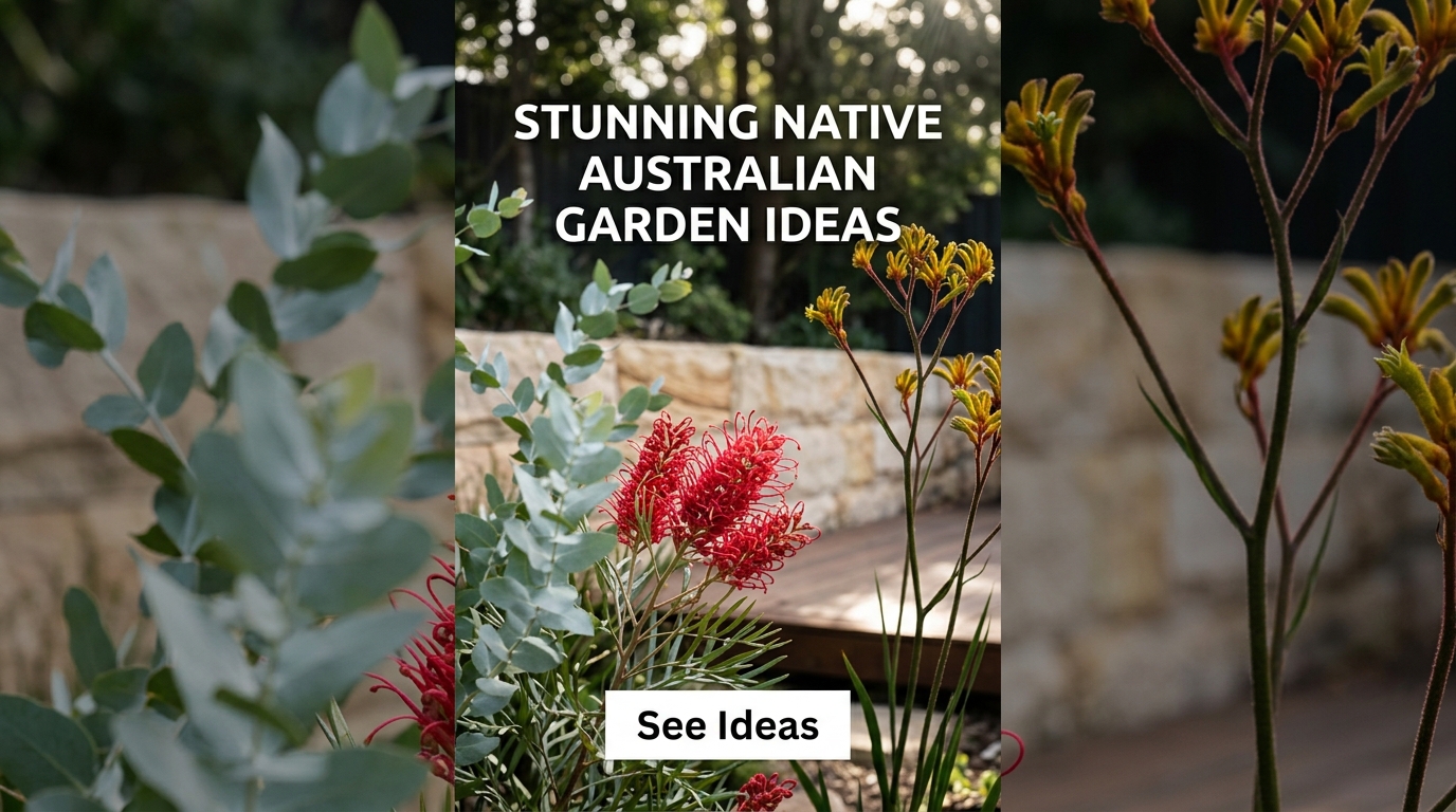 Native Australian Garden